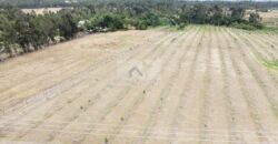 50×100 Plots GREENFIELD GARDENS located in Ol Kalou Ksh.350,000