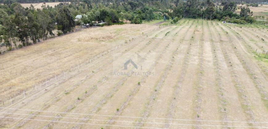 50×100 Plots GREENFIELD GARDENS located in Ol Kalou Ksh.350,000
