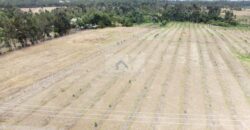 50×100 Plots GREENFIELD GARDENS located in Ol Kalou Ksh.350,000