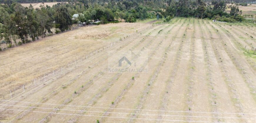 50×100 Plots GREENFIELD GARDENS located in Ol Kalou Ksh.350,000