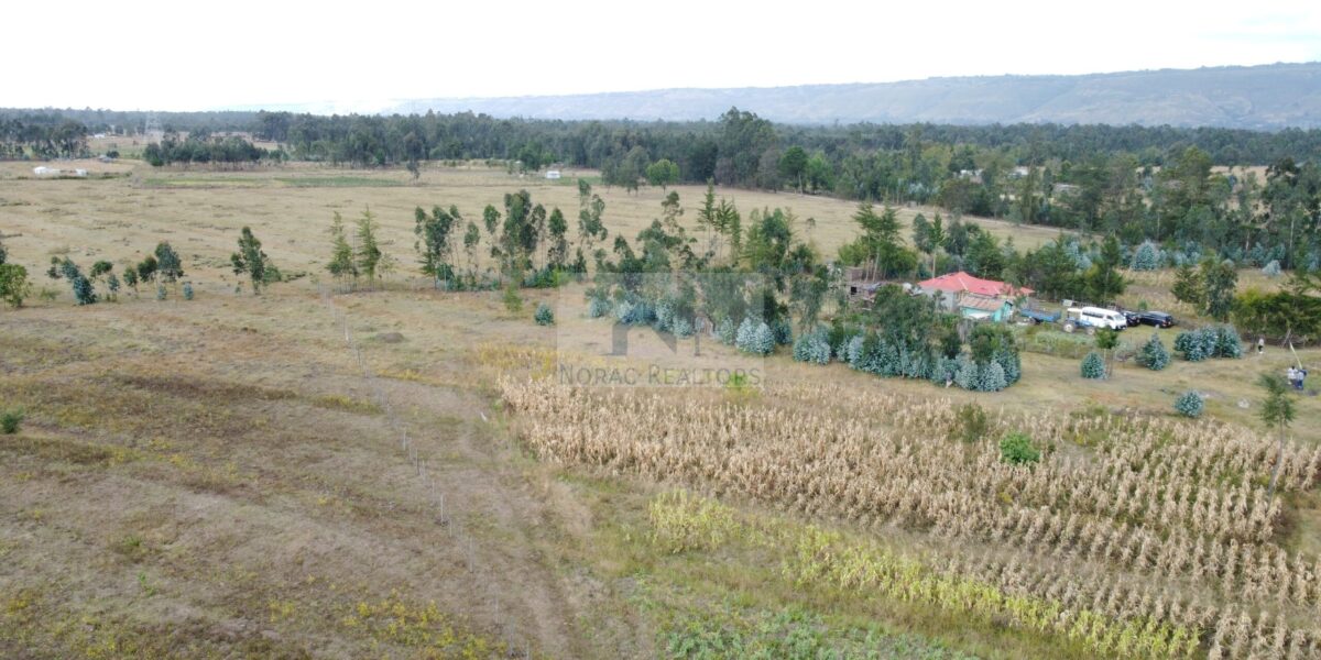 50×100 Plots GREENFIELD GARDENS located in Ol Kalou Ksh.350,000