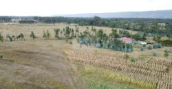 50×100 Plots GREENFIELD GARDENS located in Ol Kalou Ksh.350,000