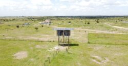 50×100 Plots ISINYA PLAINS located in ISINYA Ksh.1.2M
