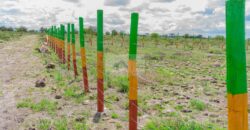 50×100 Plots DIASPORA GARDENS located in ISINYA Ksh.600K