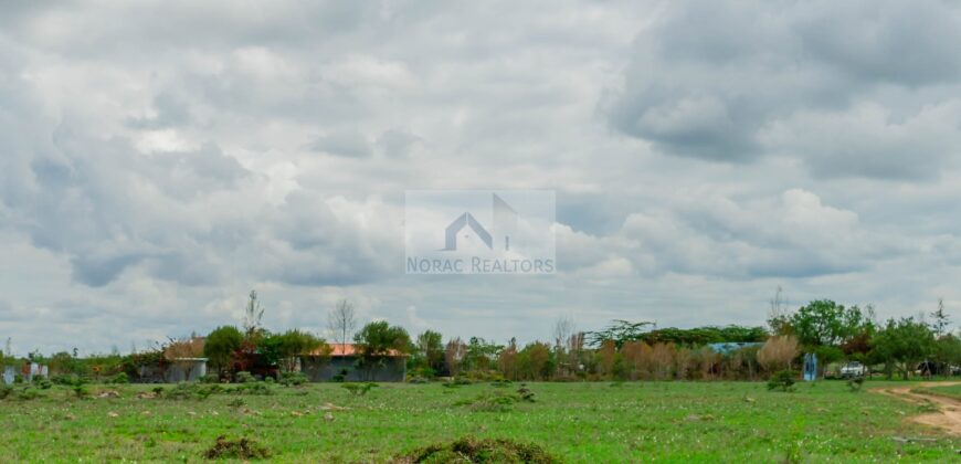 50×100 Plots DIASPORA GARDENS located in ISINYA Ksh.600K
