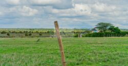 50×100 Plots DIASPORA GARDENS located in ISINYA Ksh.600K