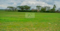 50×100 Plots DIASPORA GARDENS located in ISINYA Ksh.600K