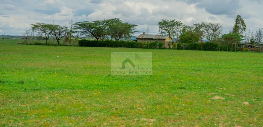 50×100 Plots DIASPORA GARDENS located in ISINYA Ksh.600K