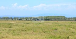 50×100 Plots LENCHAN ISINYA located in ISINYA Ksh.300K
