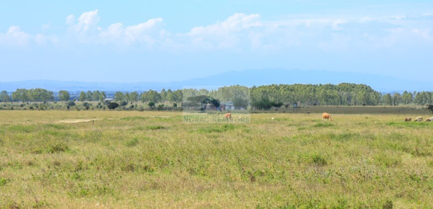 50×100 Plots LENCHAN ISINYA located in ISINYA Ksh.300K