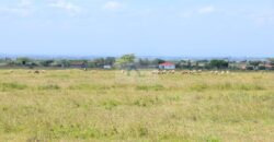 50×100 Plots LENCHAN ISINYA located in ISINYA Ksh.300K