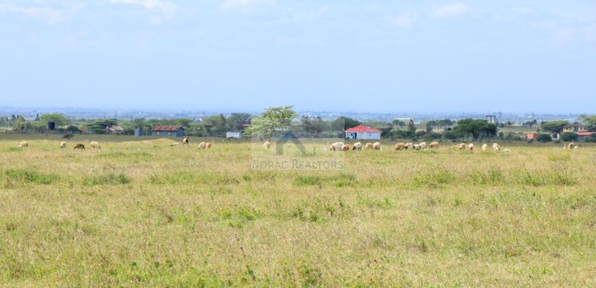 50×100 Plots LENCHAN ISINYA located in ISINYA Ksh.300K
